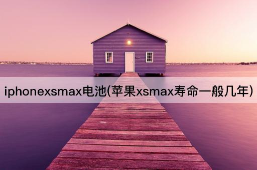 iphonexsmax电池(苹果xsmax寿命一般几年)