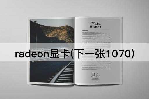 radeon显卡(下一张1070)