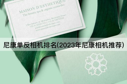 尼康单反相机排名(2023年尼康相机推荐)