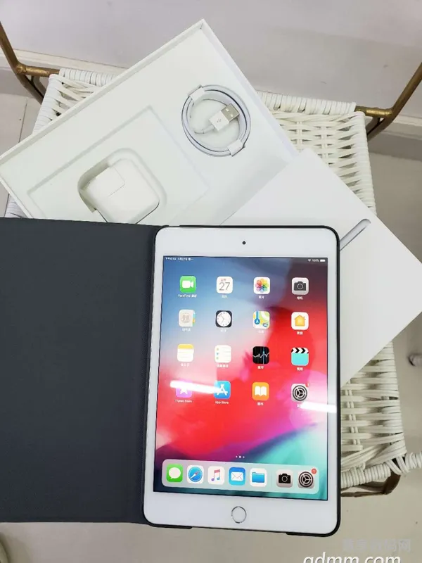 苹果新款ipadmini5(iPad mini)