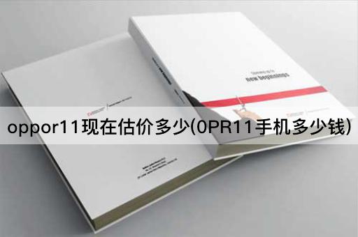 oppor11现在估价多少(0PR11手机多少钱)