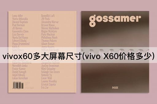 vivox60多大屏幕尺寸(vivo X60价格多少)