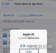 怎么修改苹果ID手机号(apple id可以换绑手机号吗)